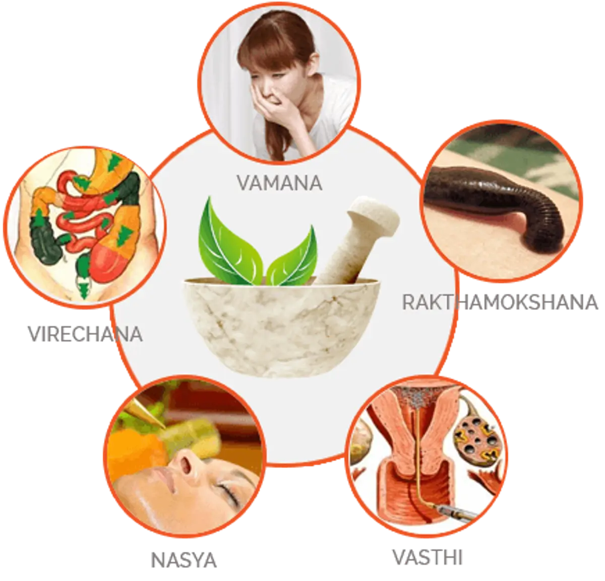 Panchakarma Treatments